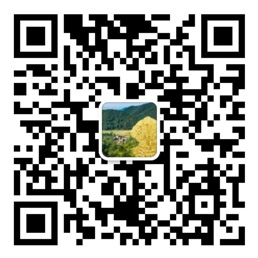 彩神-首页登录
